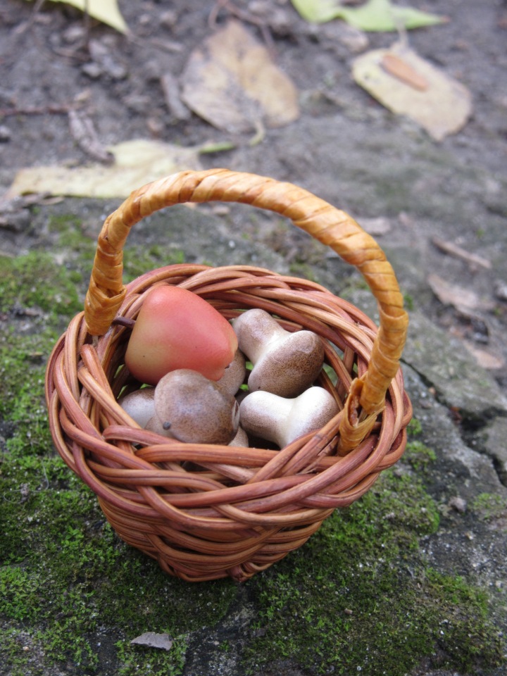 Полная корзинка — Куклы Takara Tomy (Такара): Licca (Ликка)