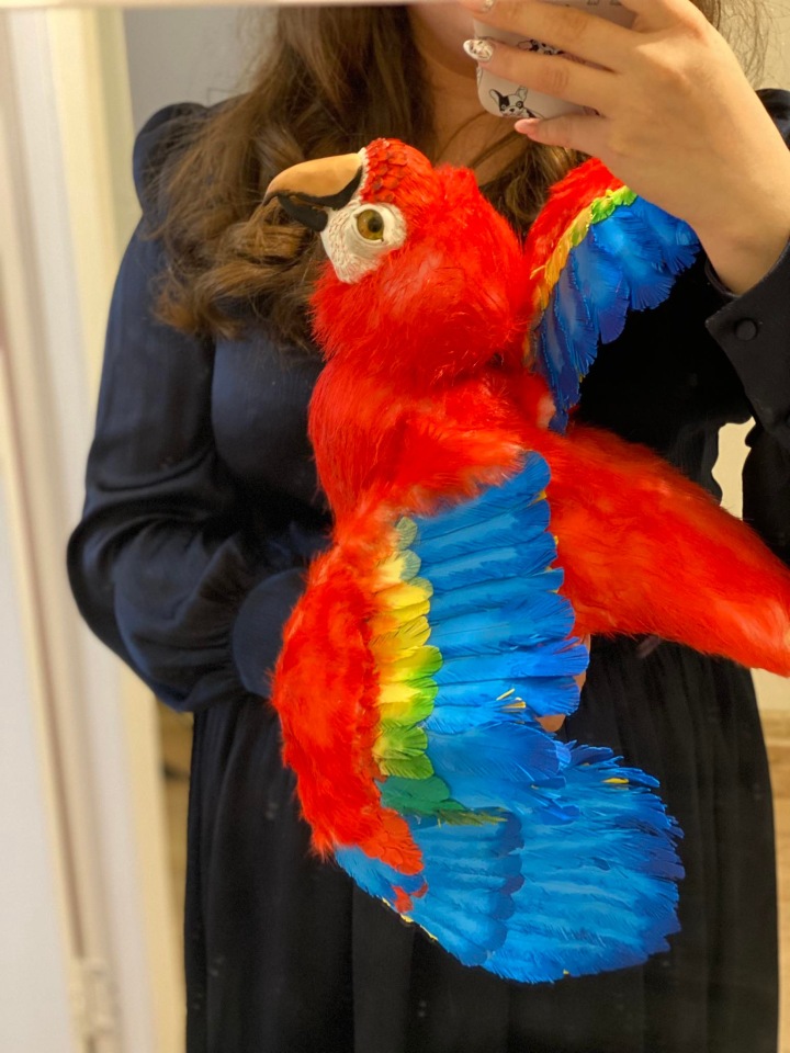 Попугай Ара — Игрушки в смешанной технике (мех и глина): Арт