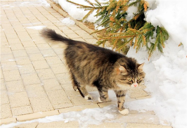 Снежный Март — Туризм и путешествия: фотоотчеты из поездок