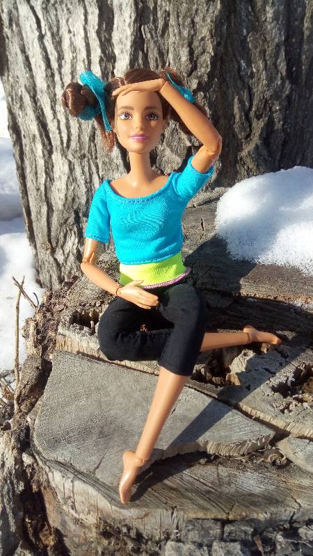 Барби-йога, здоровый образ жизни (фото 4)