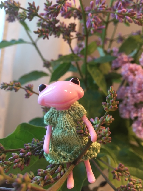 Wonder frog - Tasha Apple от компании Studio uoo (фото 5)