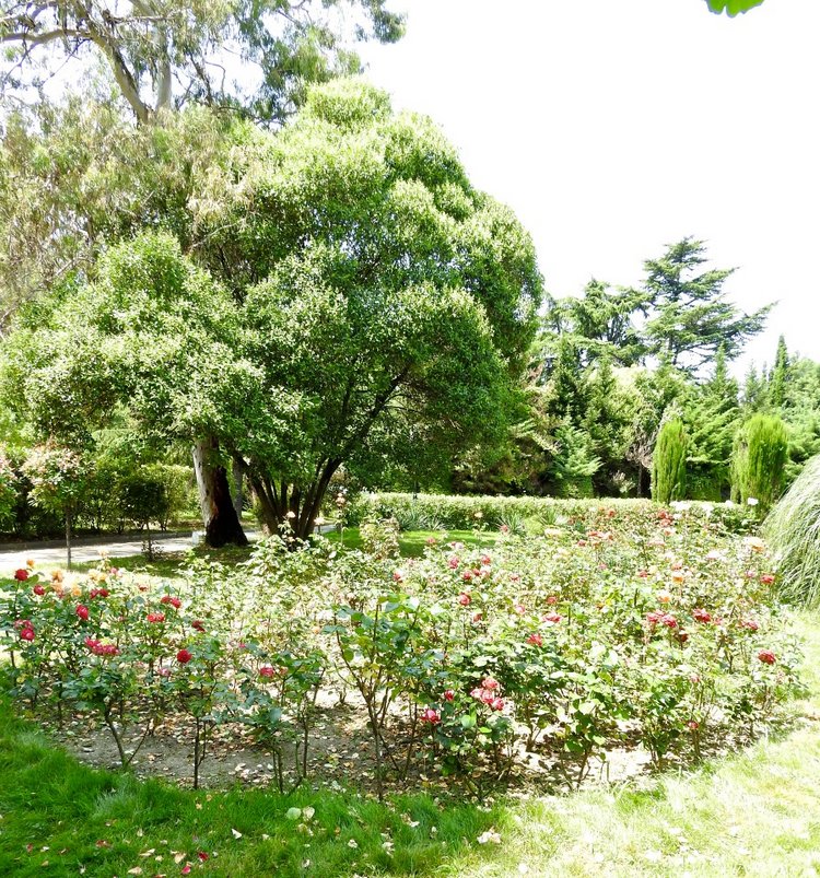 Краснодарский Край, Сочи-Адлер, Санаторий «Южное Взморье»