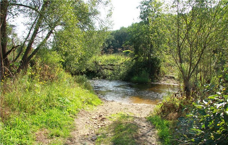 Старицкая Швейцария. Путешествие с Сашей, продолжение. Уникальная кукла от Сильвии Наттерер (фото 3)