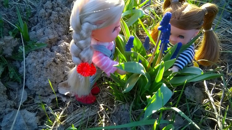 Галинка с Полинкой во саду ли в огороде