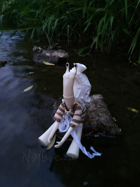 Wonderfrog. Красота в простоте