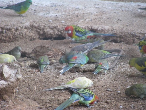 Путешествие на о. Кипр — Туризм и путешествия: фотоотчеты из поездок