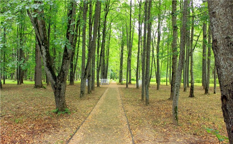 Подарок для Бенни | Бэйбики Подарок для Бенни — Куклы Iplehouse (Иплхаус): BJD (БЖД)