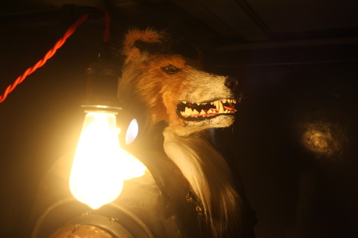 Петербург. Музей НЕправды (18+). Часть 1