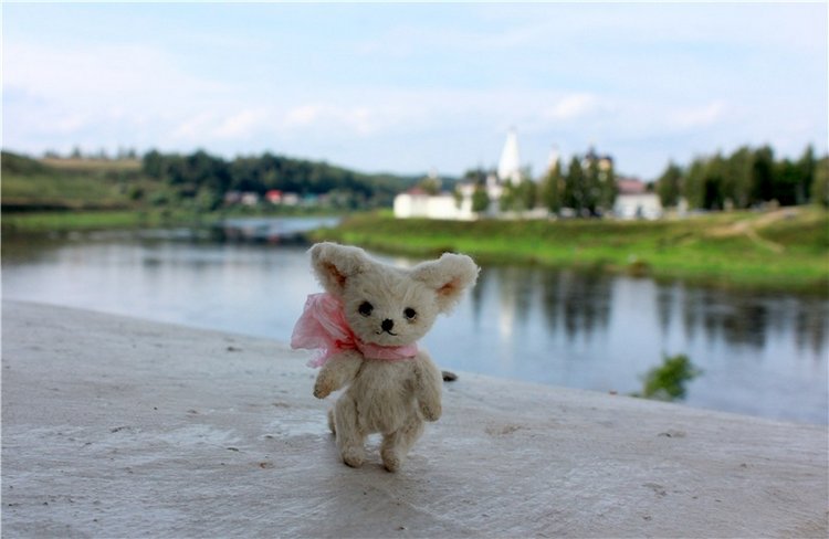 Сентябрьское путешествие в Старицу, четвёртая часть