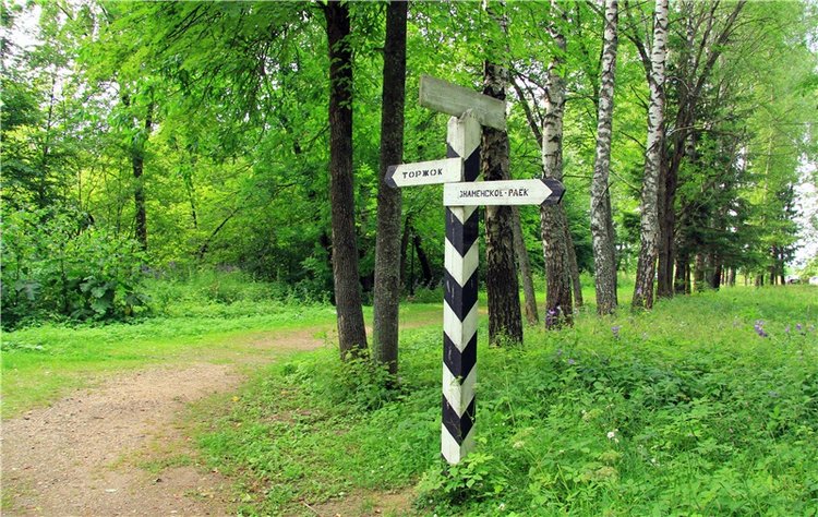 Путешествие Виолы в Усадьбу Знаменское-Раёк