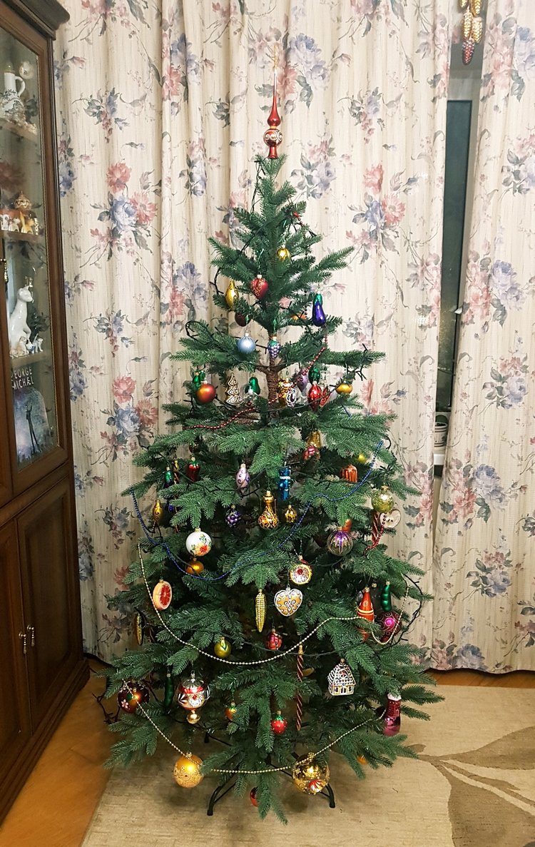 В степи родилась ёлочка, в жару она росла