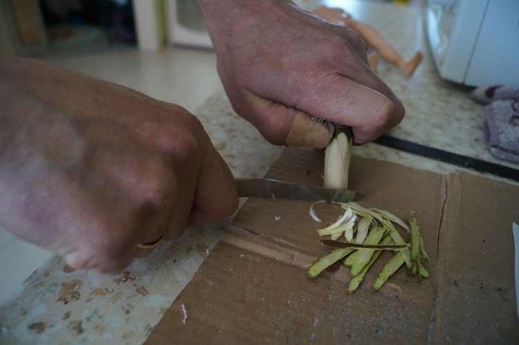 Третья мартовская выписка. Вылечено два перелома