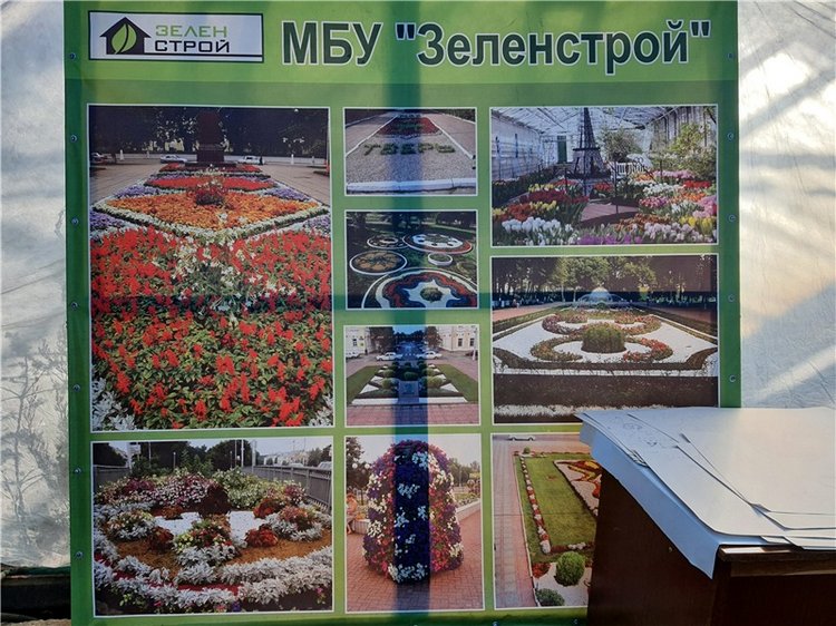 Выставка тюльпанов в Твери