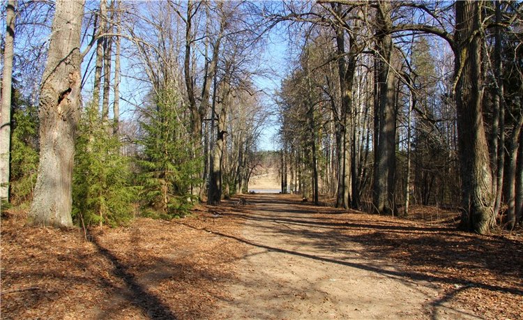 Апрельский день в Василёво, заключительная часть