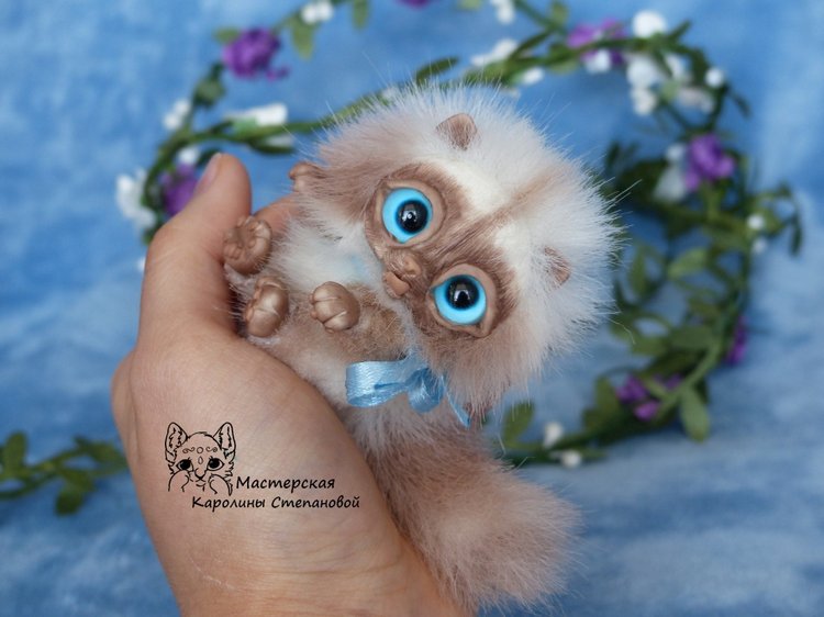 Сиамский котенок, пушистик, миниатюра (фото 8)