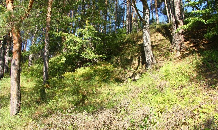 Старицкая Швейцария. Старицкие пещеры, д. Толпино, заключительная часть