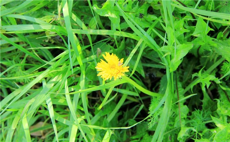 Старицкая Швейцария. Путешествие с Сашей, продолжение. Уникальная кукла от Сильвии Наттерер