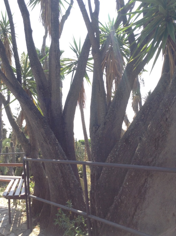 Путешествие Минуш в Испанию. Каталония. Ч.3. Райские сады