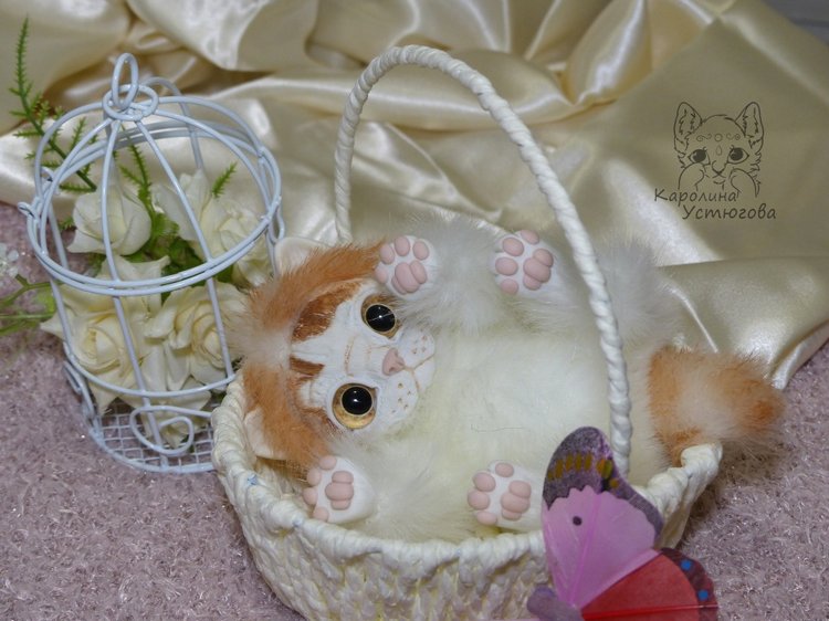 Обыкновенный котенок и его день (фото 5)