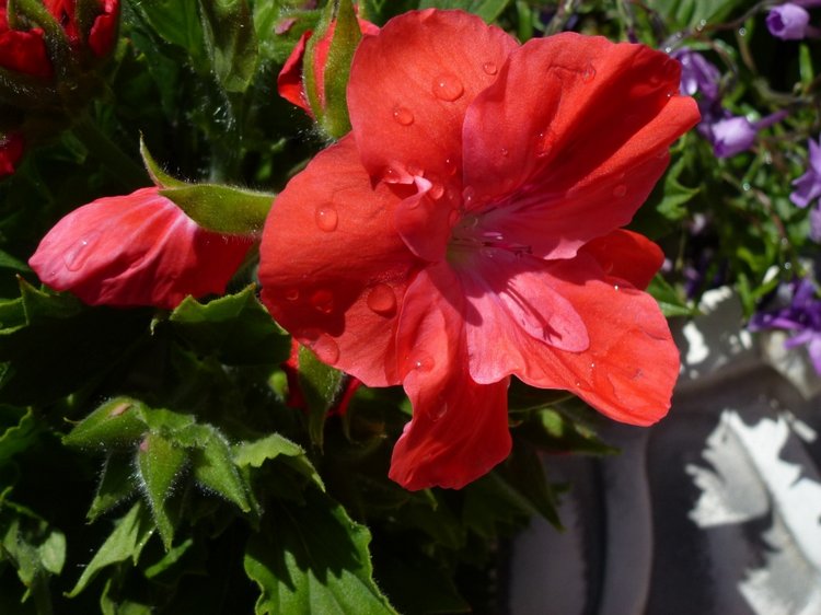 Сочи-Адлер: Южное Взморье - Мои любимые куколки на отдыхе