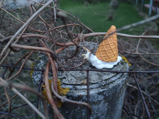 Что такое гасяпон — Домашние фото авторских игрушек: Тедди