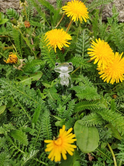 Найди меня, если сможешь — Фигурки Studio