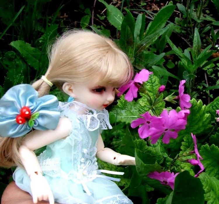 После дождичка в саду) — Красивая природа и цветы: фото пейзажей (фото 8)