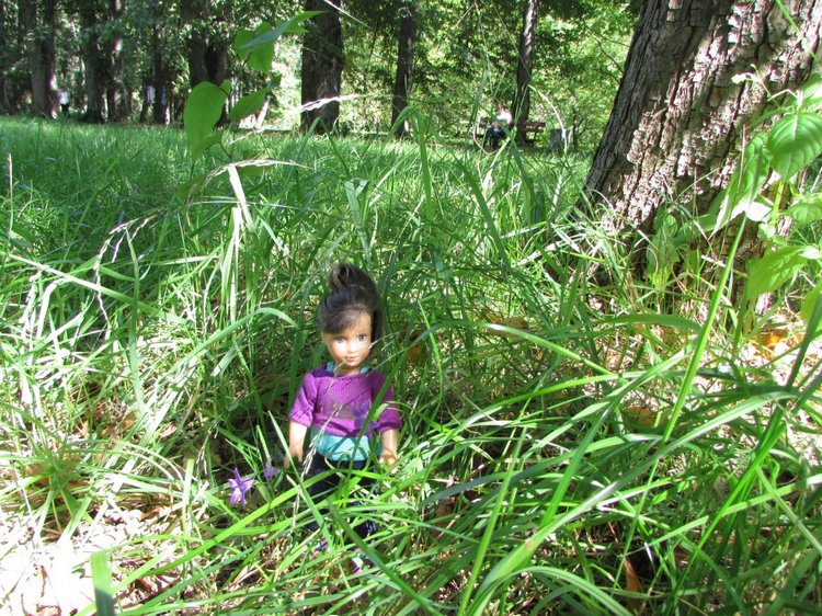 Малышня на прогулке в Бирюлёвском дендропарке