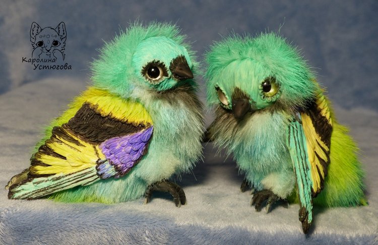 Зеленоголовая танагра, чудо птичка