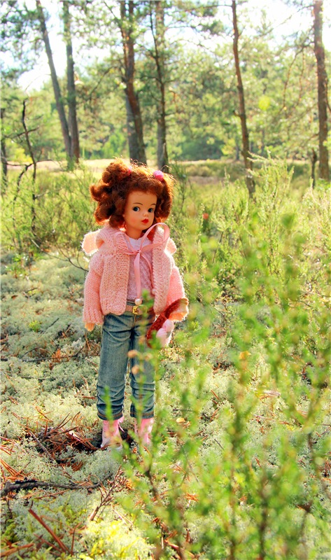 Осенняя прогулка Tammy в лесу (фото 2)