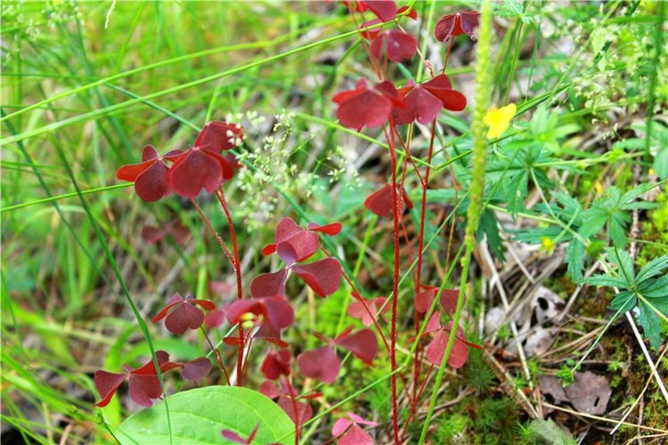 Путешествие Эли на красивый берег реки Волги