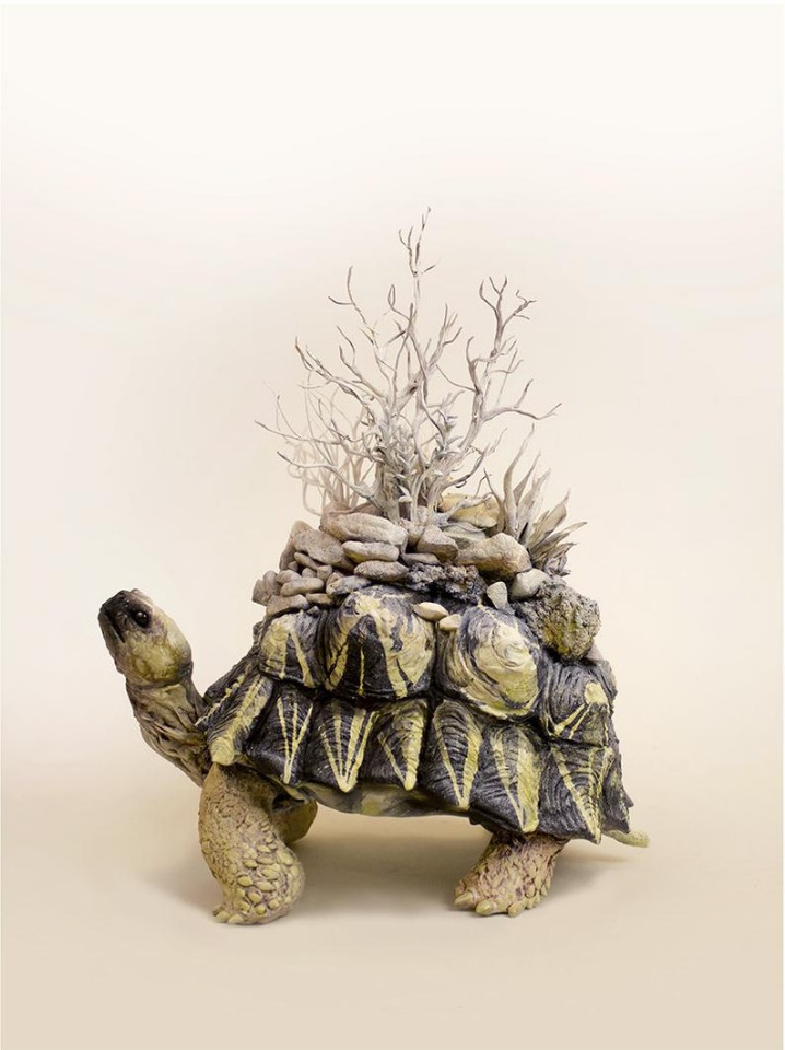 EllenJewettPrintShop - "Сюрреалистическая естественная история" by Ellen Jewett (фото 2)