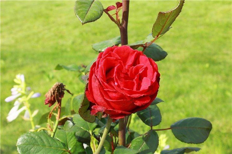 Сентябрьское путешествие в Старицу. Старицкий Свято-Успенский Монастырь