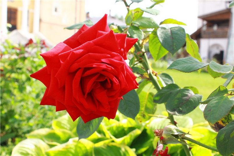 Сентябрьское путешествие в Старицу. Старицкий Свято-Успенский Монастырь