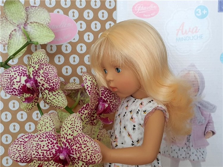 Ava. Petitcollin Minouche Ava