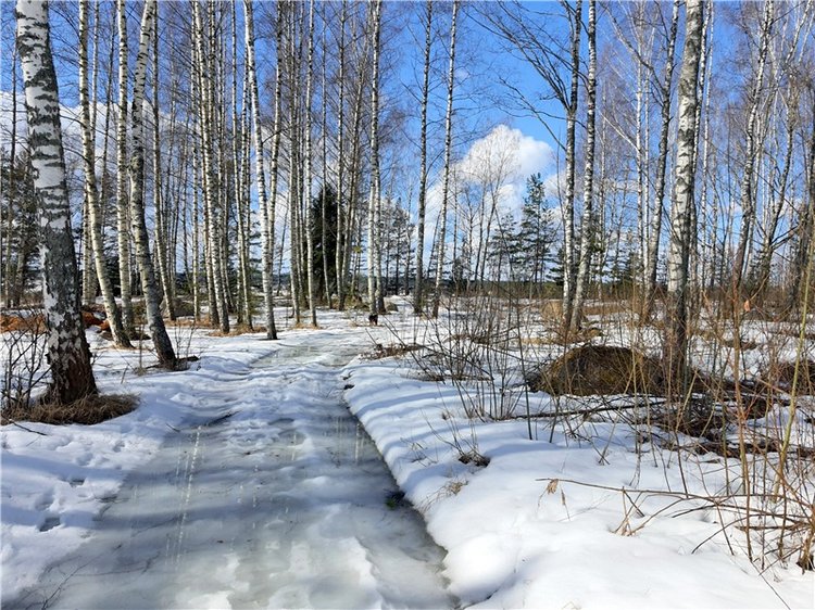 Весна в "Саду Камней" | Бэйбики Весна в "Саду Камней" — Куклы Meadow dolls (Медовушки): BJD (БЖД)