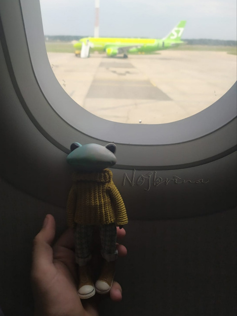 Большое путешествие Кензо. Арктика. Северный полюс (фото 4)