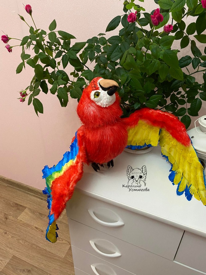 Попугай Ара — Игрушки в смешанной технике (мех и глина): Арт (фото 2)