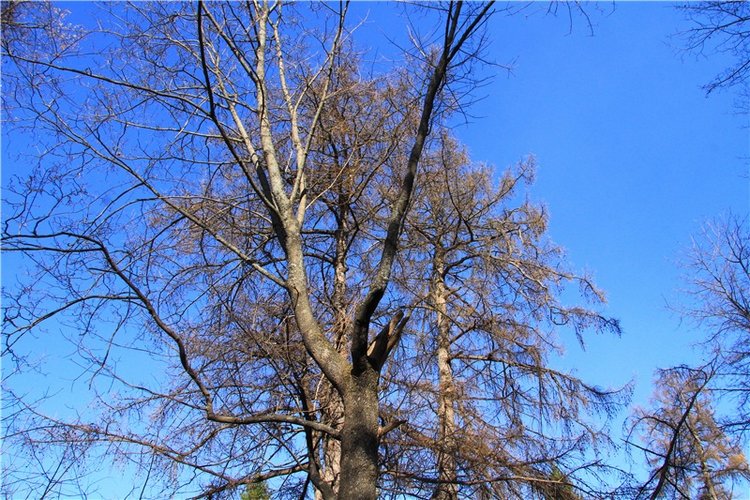 Апрельский день в Василёво, заключительная часть