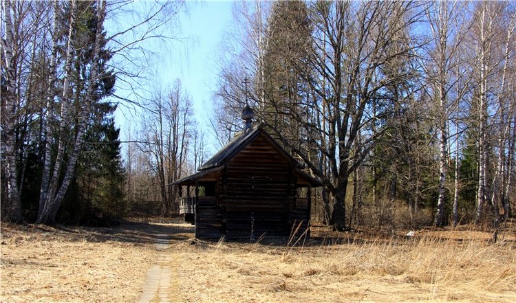 Апрельский день в Василёво, заключительная часть (фото 7)