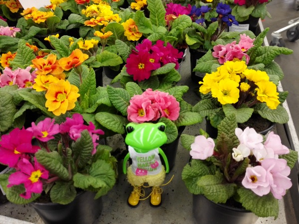 Добро пожаловать в удивительный мир Ванды (фото 6)