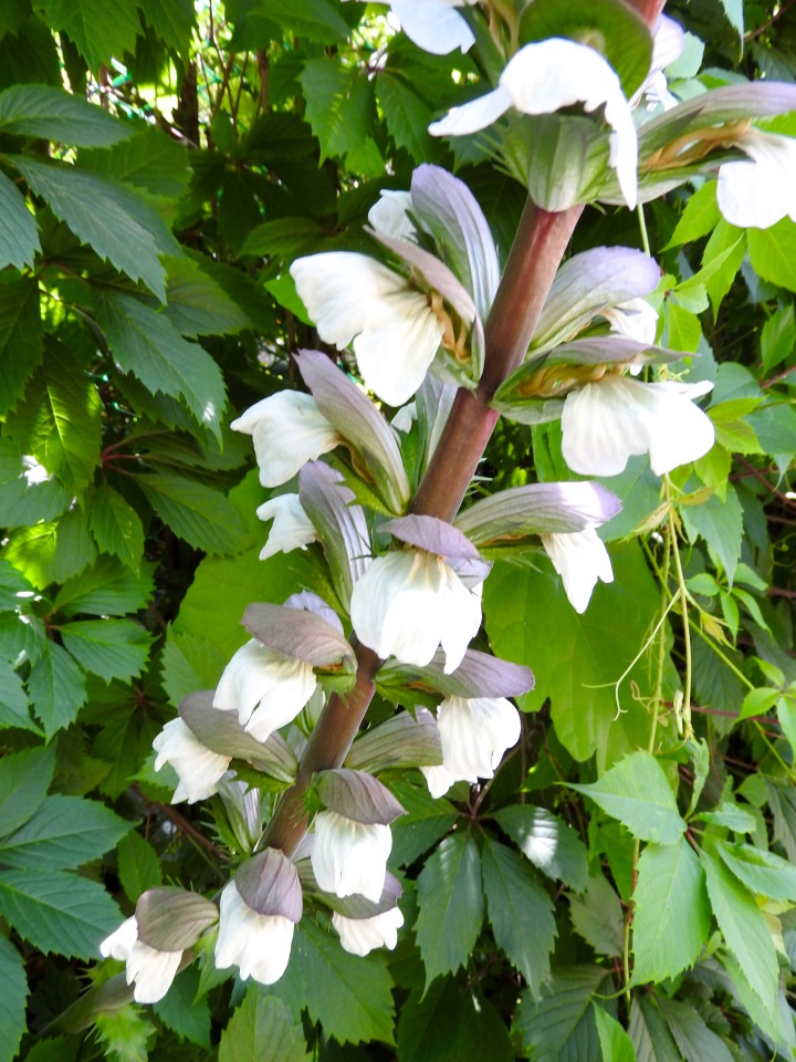 Краснодарский Край, Сочи-Адлер, Санаторий «Южное Взморье»