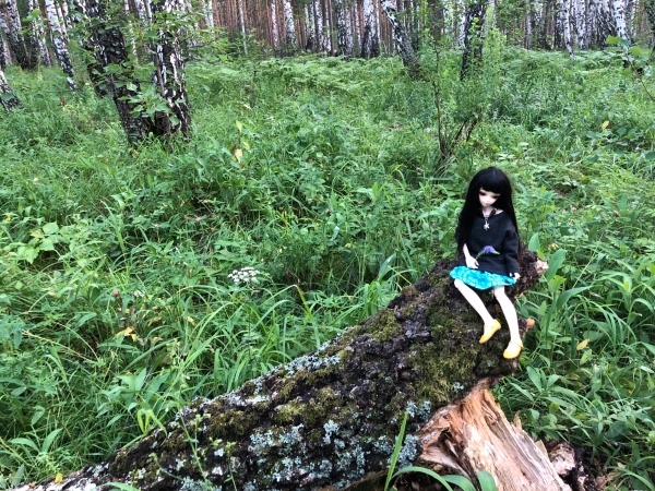 Амели - minifee RFA — Куклы Fairyland (ФэйриЛэнд): BJD (БЖД)