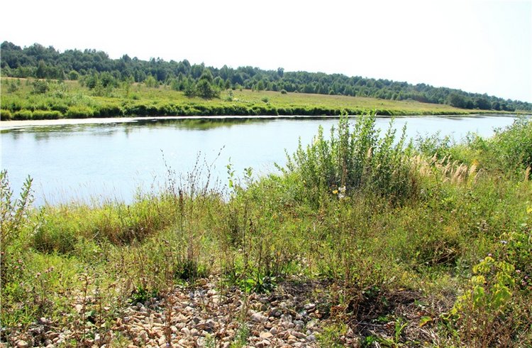 Инопланетянка Нийя. Custom Blythe Doll UFO Go Go Takara