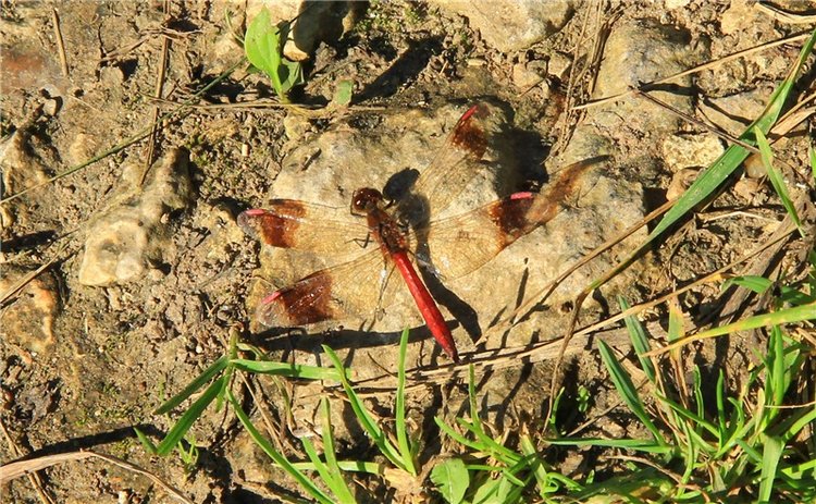 Старицкая Швейцария. Старицкие пещеры, д. Толпино, заключительная часть