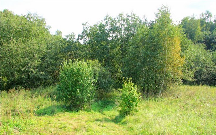 Старицкая Швейцария. Старицкие пещеры, д. Толпино (фото 6)