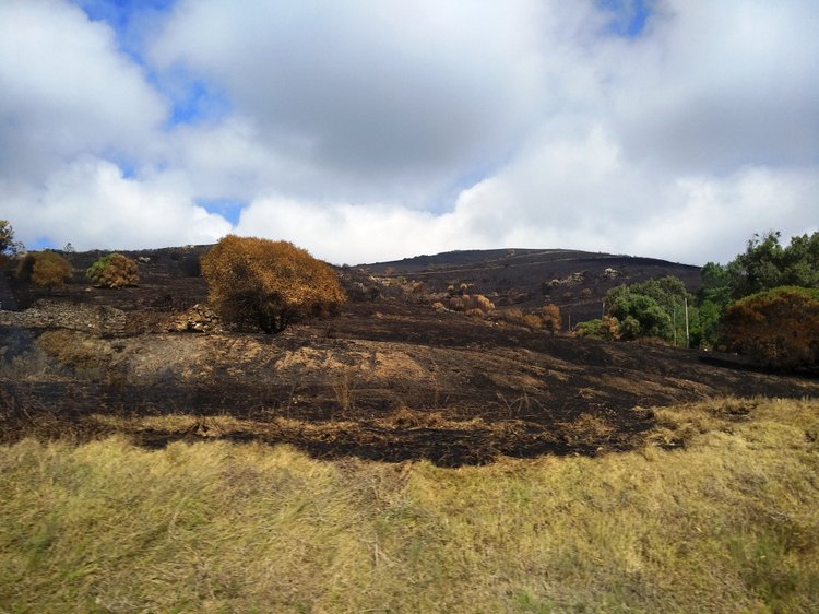 Тайна моего имени. Часть 11. Португалия, Мыс Рока. Там, где кончается земля, и начинается море (фото 4)