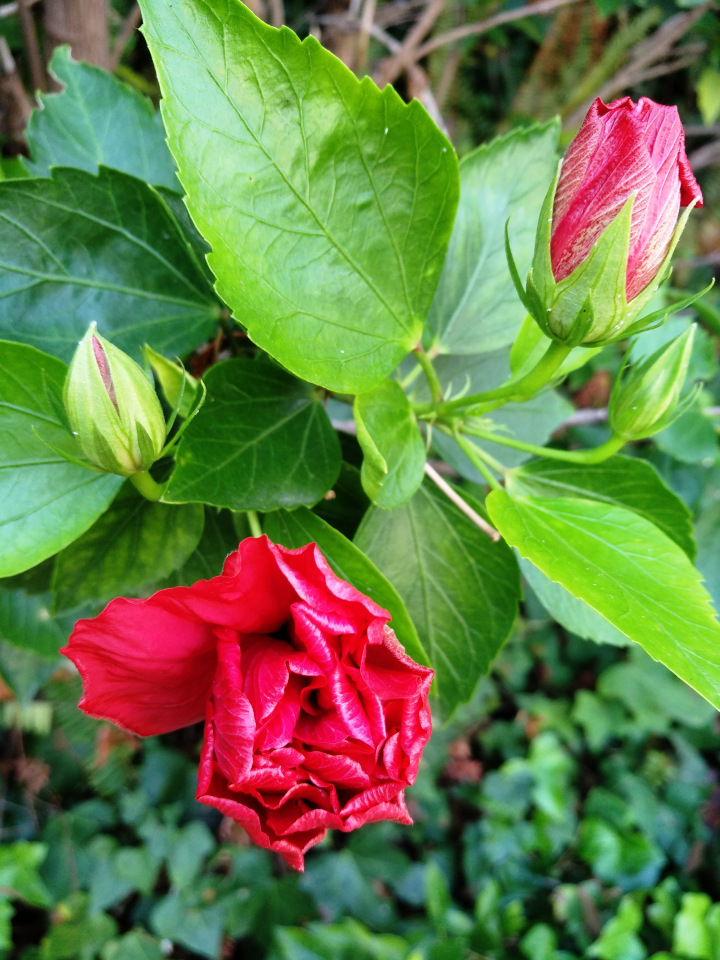 Тайна моего имени. Часть девятая. Испания, Бенальмадена, Парк Тиволи. Лесли путает все планы