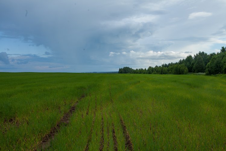 Первая поездка Мари с братьями эльфами (2 часть)