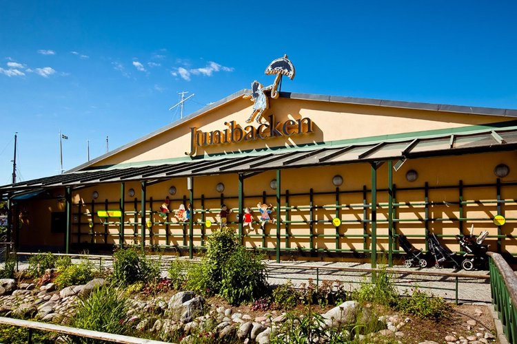 Швеция Стокгольм, музей Юнибакен (фото 2)